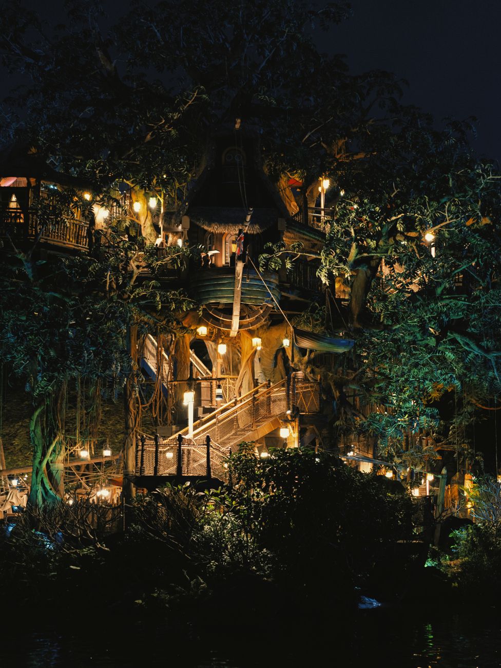 A Bird’s-Eye View of Disney World at Night